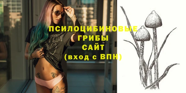 мяу мяу мука Дмитров