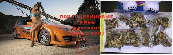 гидра Дмитровск