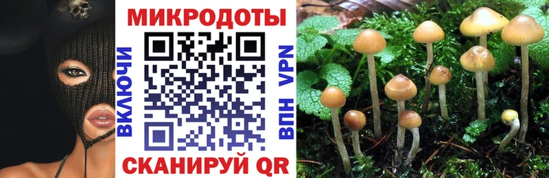 Галлюциногенные грибы GOLDEN TEACHER Мирный