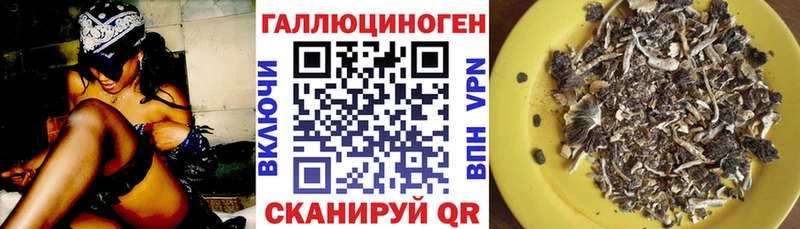 Псилоцибиновые грибы Cubensis  купить   OMG вход  Мирный 